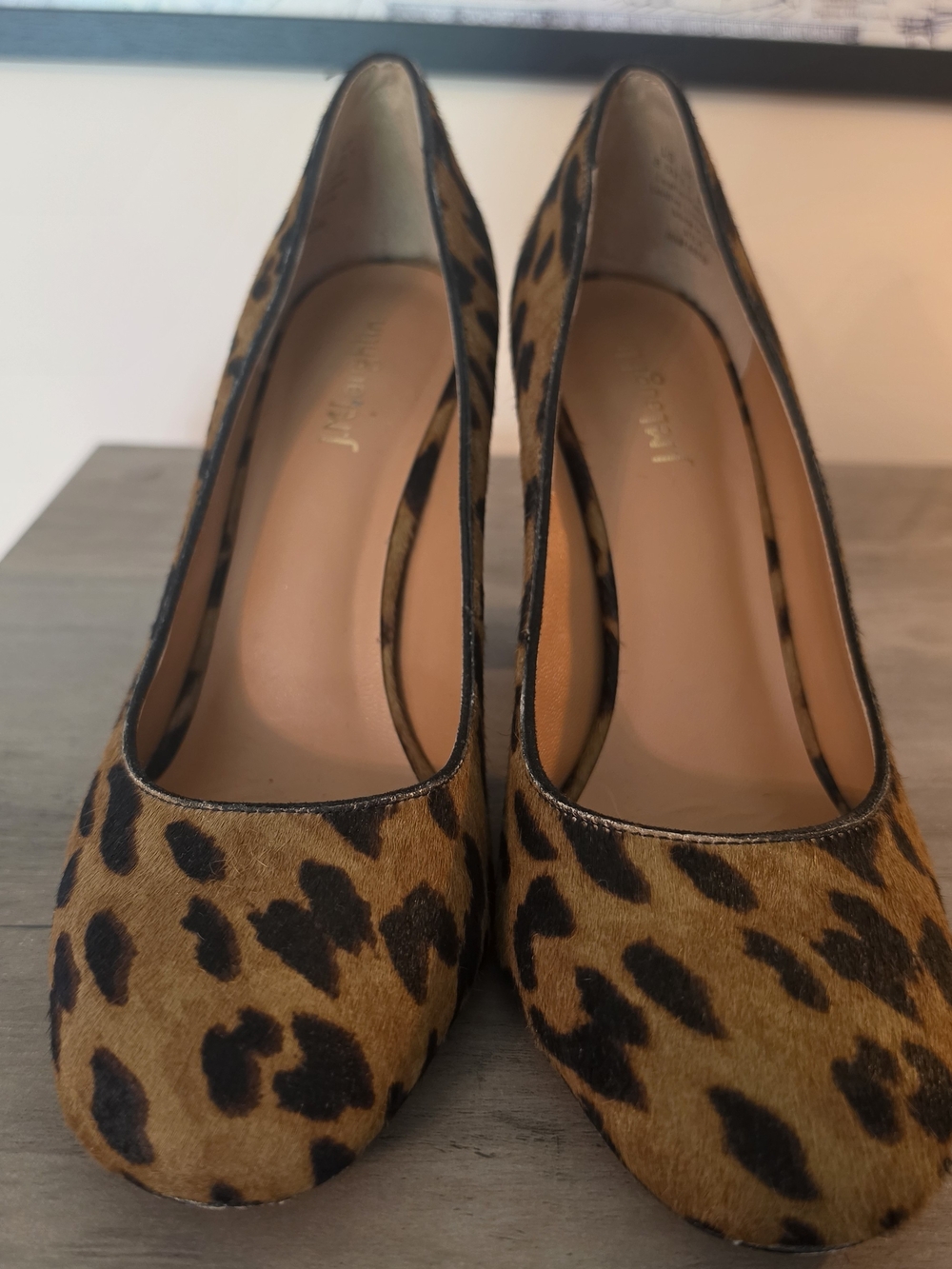 Leopard-Print Women's Pumps in Brown - Classic Animal Print Heel